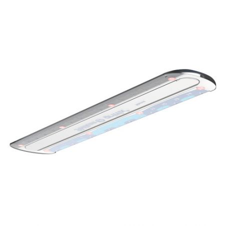 Lineal griffix 15cm LG15 1Stück FaltschachtelBlister Lineal griffix 15cm LG15 1Stück FaltschachtelBlister