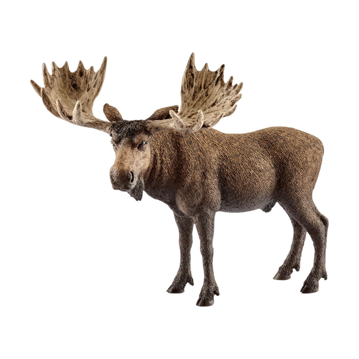 Schleich - Wild Life - Elch Bulle