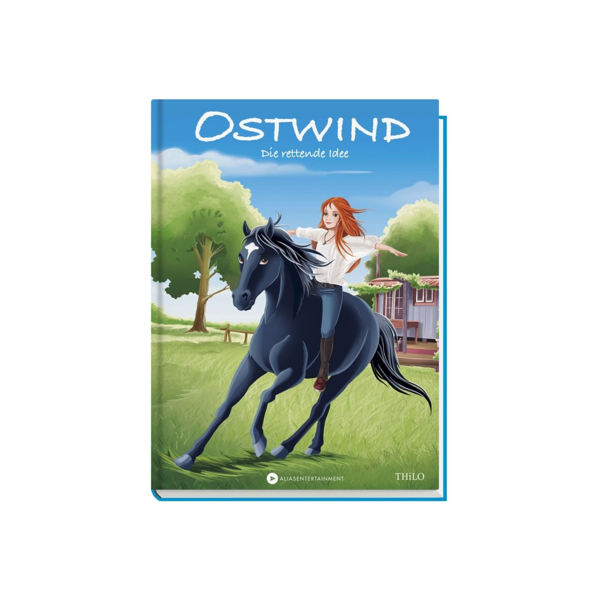 Ostwind Band 2, Die rettende Idee, für Erstleser