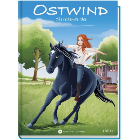 Ostwind Band 2, Die rettende Idee, für Erstleser