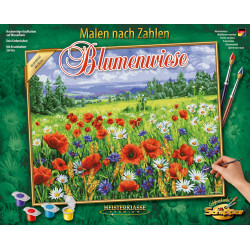 Malen nach Zahlen - Blumenwiese