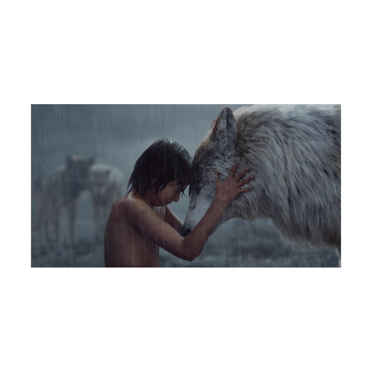 The Jungle Book