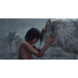 The Jungle Book