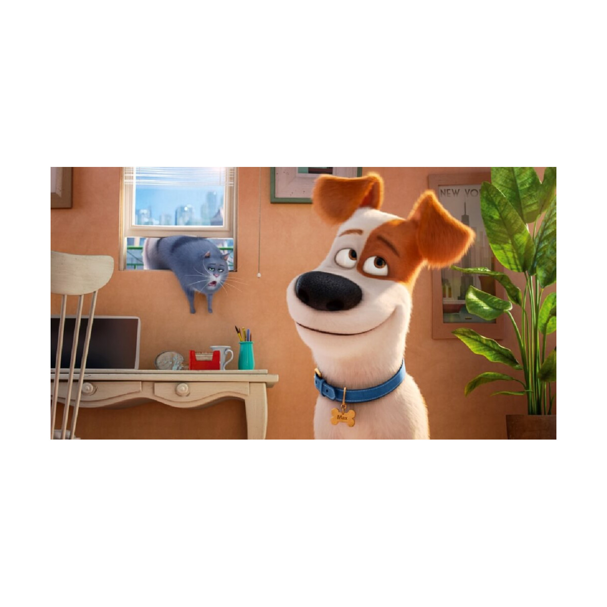 Pets