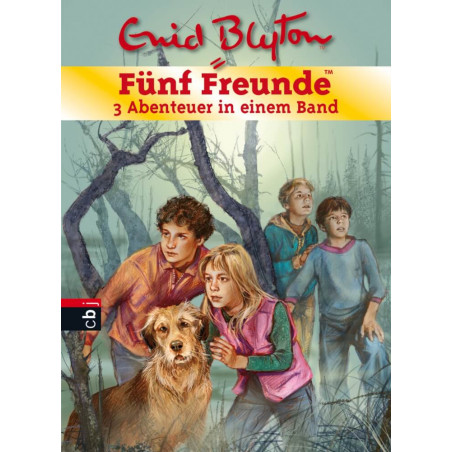 Blyton E.,Fünf F SaBa 01