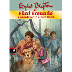 Blyton E.,Fünf F SaBa 01