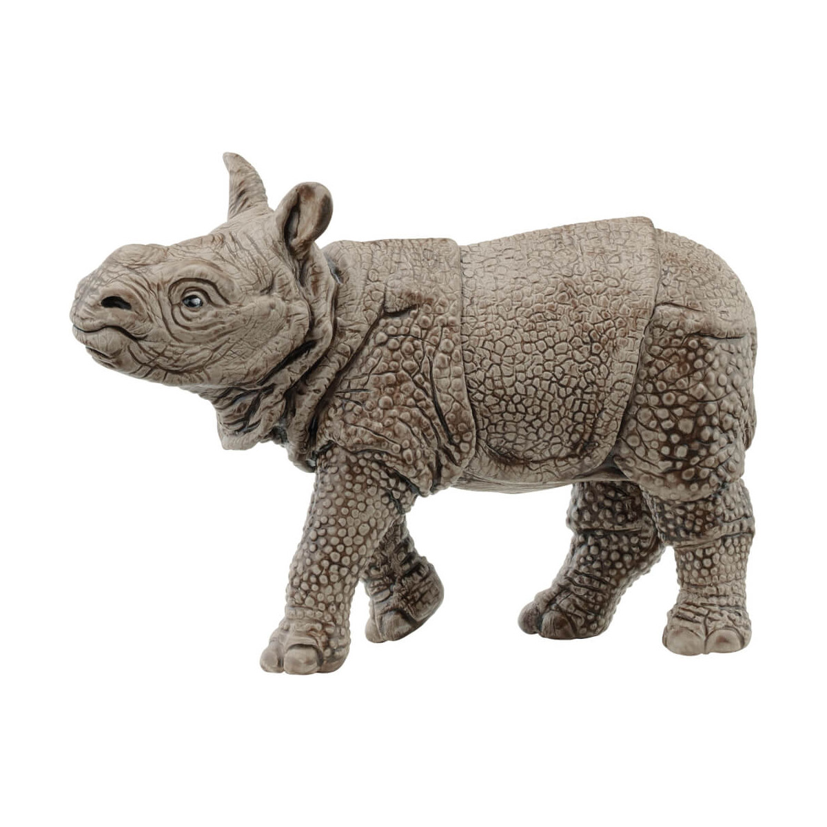 Panzernashorn Baby