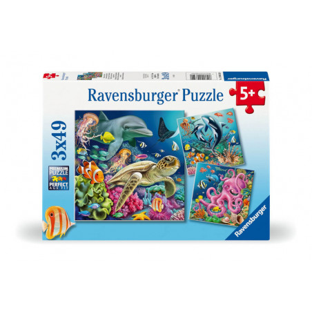 Bezaubernde Unterwasserwelt