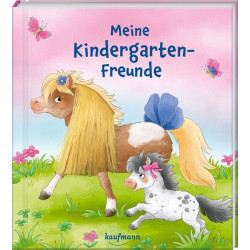 Meine KiGafreunde Ponys Mhn