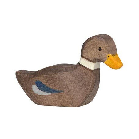 Ente, schwimmend