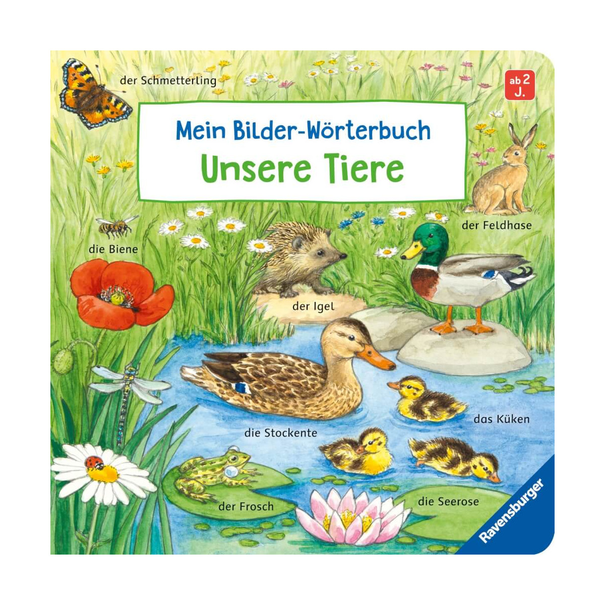 Mein Bilder-Wörterbuch: Unsere Tiere