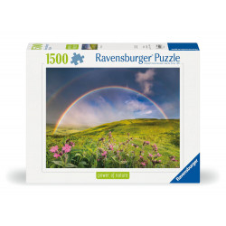 Spektakulärer Regenbogen