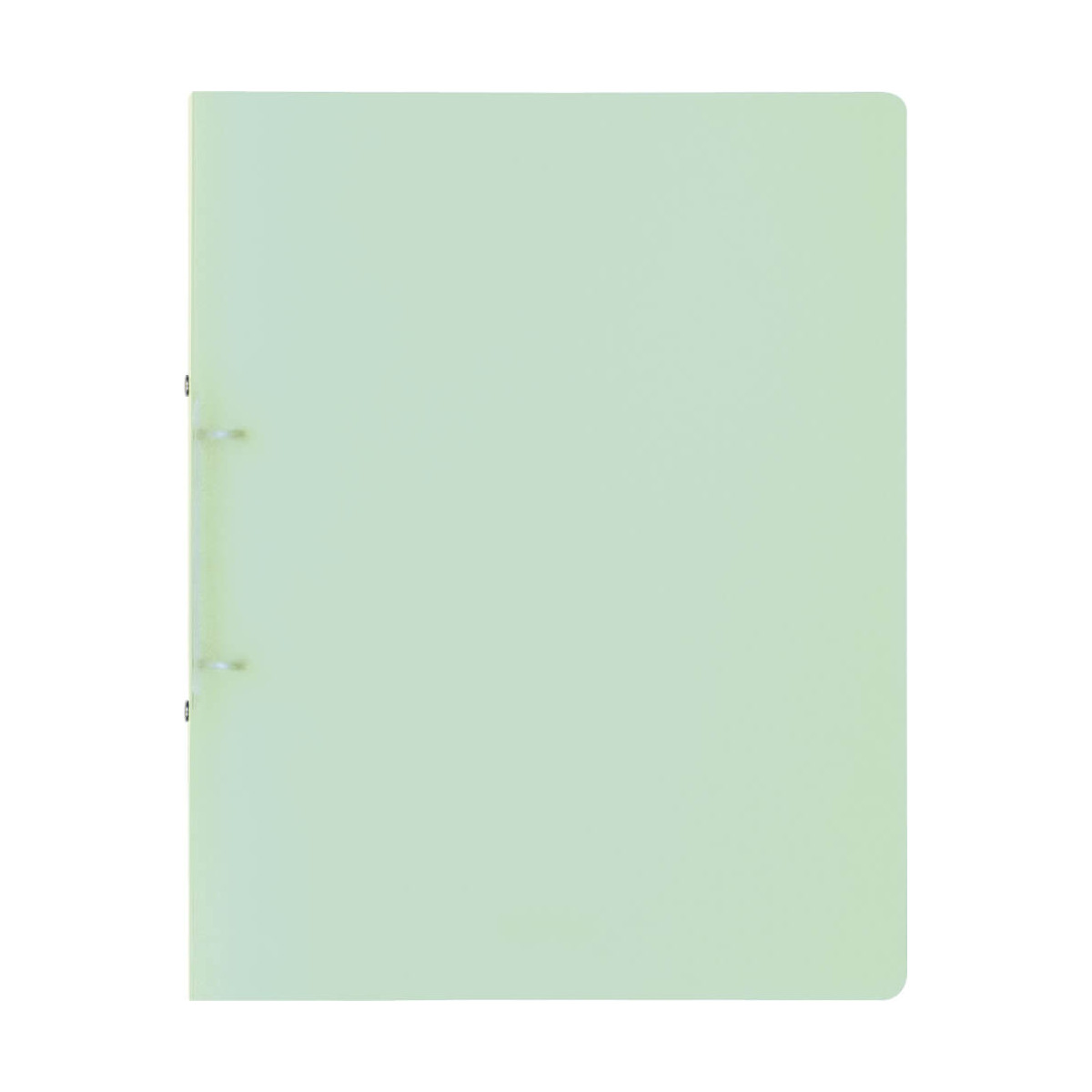 RingbA4 16mm 2R mint       FACT!