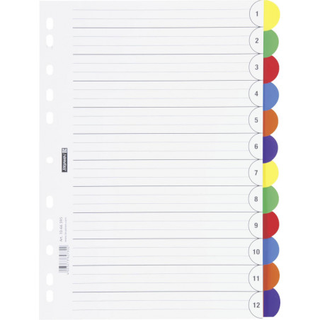 Ringbuchreg.A4 12tlg