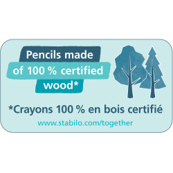 STABILO EASYgraph S Metallic HB kupfer R