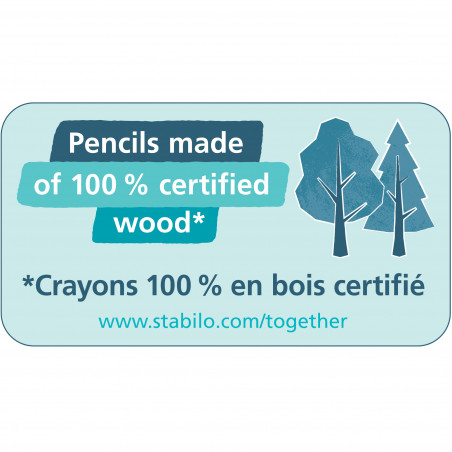 STABILO EASYgraph S Metallic HB kupfer R