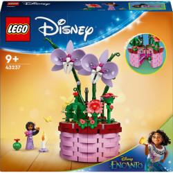 tbd Disney princess 5 2024