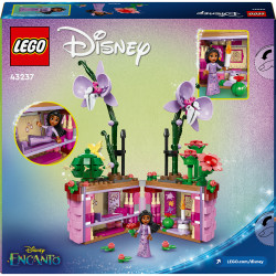tbd Disney princess 5 2024