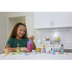 Disney Princess Small Dolls Royal Color Reveal Sortiment