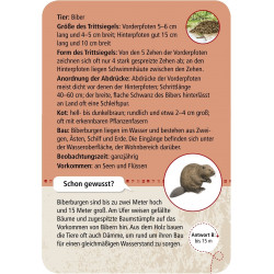 moses. - Expedition Natur 50 Tierspuren moses. - Expedition Natur 50 Tierspuren