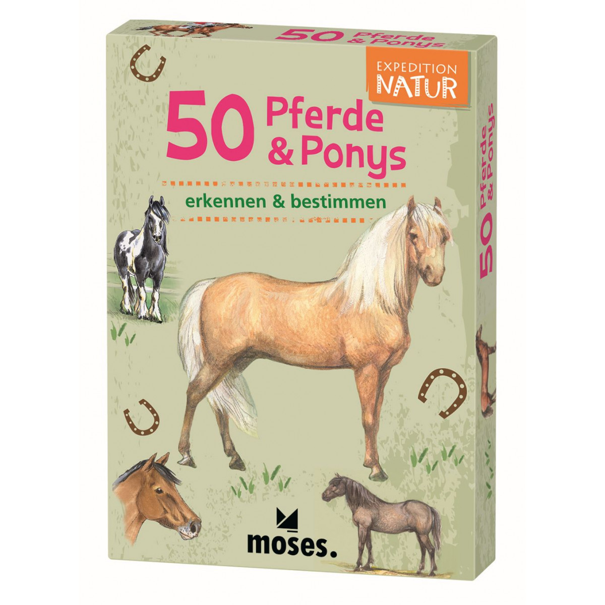 moses. - Expedition Natur 50 Pferde & Ponys