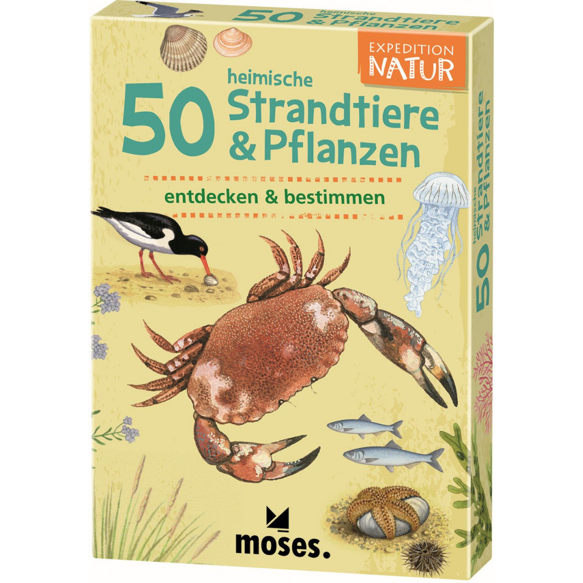 moses. - Expedition Natur 50 heimische Strandtiere & Pflanzen