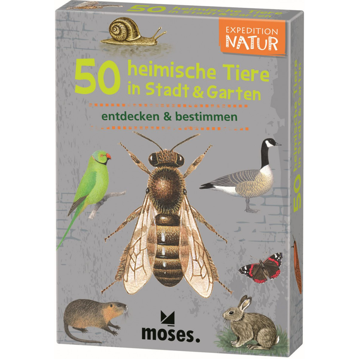 moses. - Expedition Natur 50 heimische Tiere in Stadt & Garten