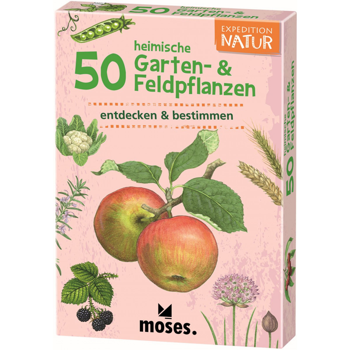moses. - Expedition Natur 50 heimische Garten- & Feldpflanzen