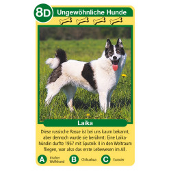 Ravensburger - Hunde