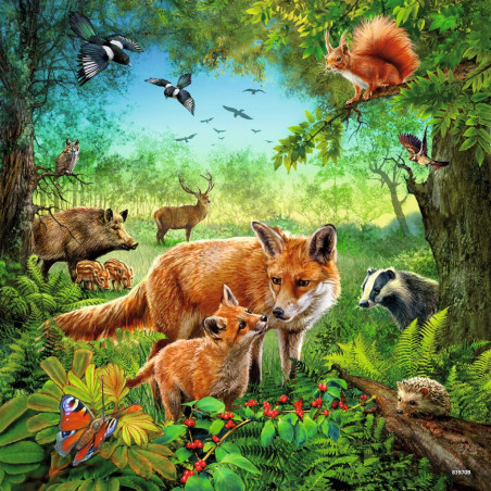Ravensburger - Tiere der Erde, 3 x 49 Teile