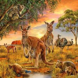 Ravensburger - Tiere der Erde, 3 x 49 Teile