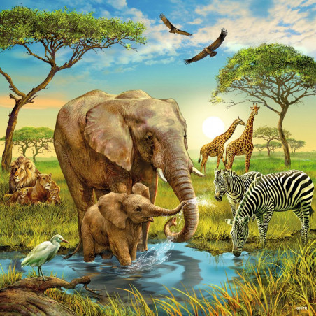 Ravensburger - Tiere der Erde, 3 x 49 Teile