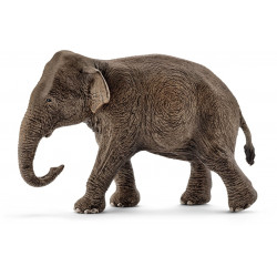 Schleich - Wild Life - Asiatische Elefantenkuh