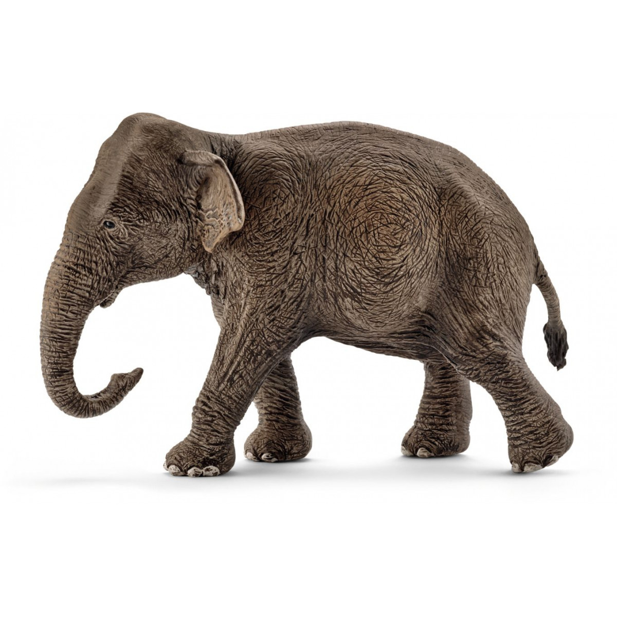 Schleich - Wild Life - Asiatische Elefantenkuh