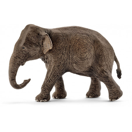 Schleich - Wild Life - Asiatische Elefantenkuh