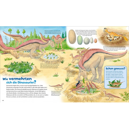Tessloff - Was ist Was Junior - Dinosaurier, Band 3