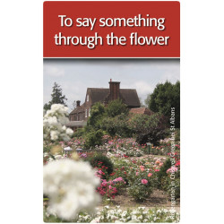 moses. - now goes me a light up - Quizspiel rund um englische Redewendungen