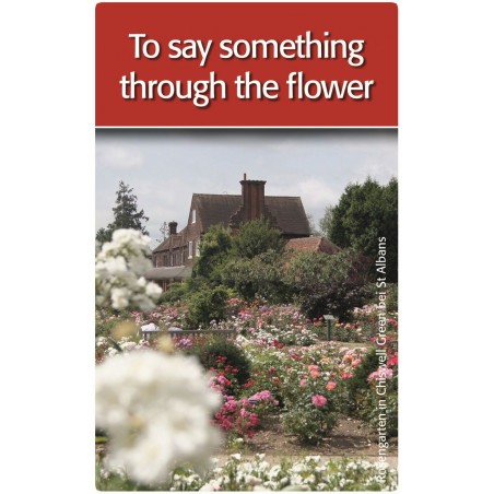 moses. - now goes me a light up - Quizspiel rund um englische Redewendungen