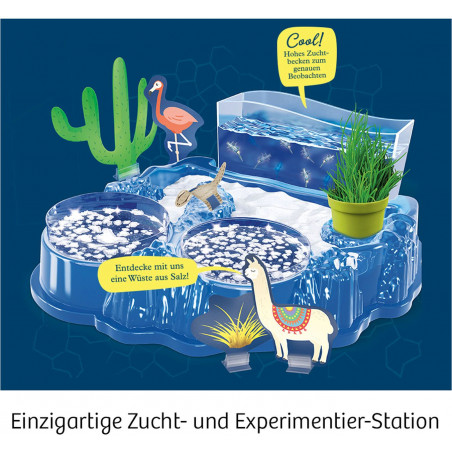 KOSMOS - Salzkrebse - Überlebenskünstler in der Wüste