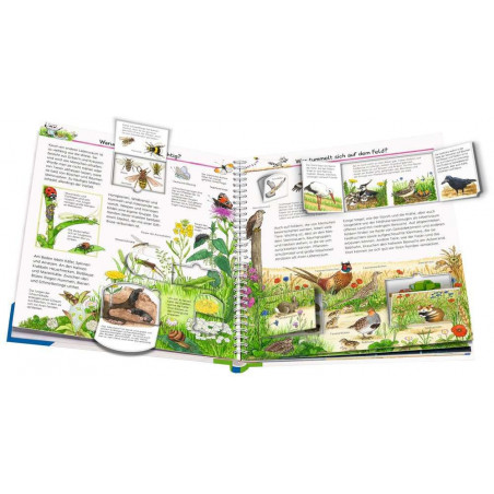 Ravensburger - Wieso? Weshalb? Warum? Wir entdecken heimische Tiere, Band 71