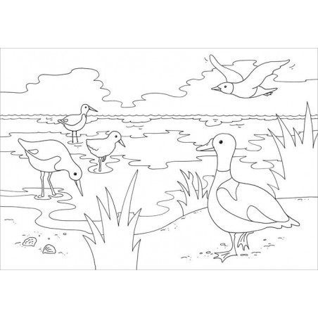 Tessloff - Malen & Rätseln und mehr - Mein schönstes Malbuch - Am Meer