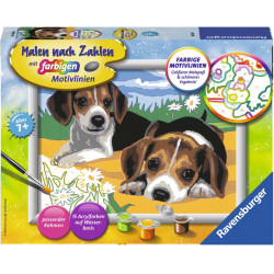 Ravensburger - Jack Russel Welpen