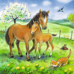 Ravensburger - Kuschelzeit, 3 x 49 Teile