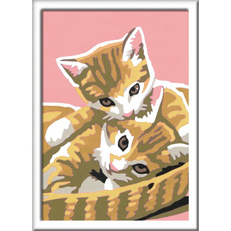 Ravensburger - Katzenbabys