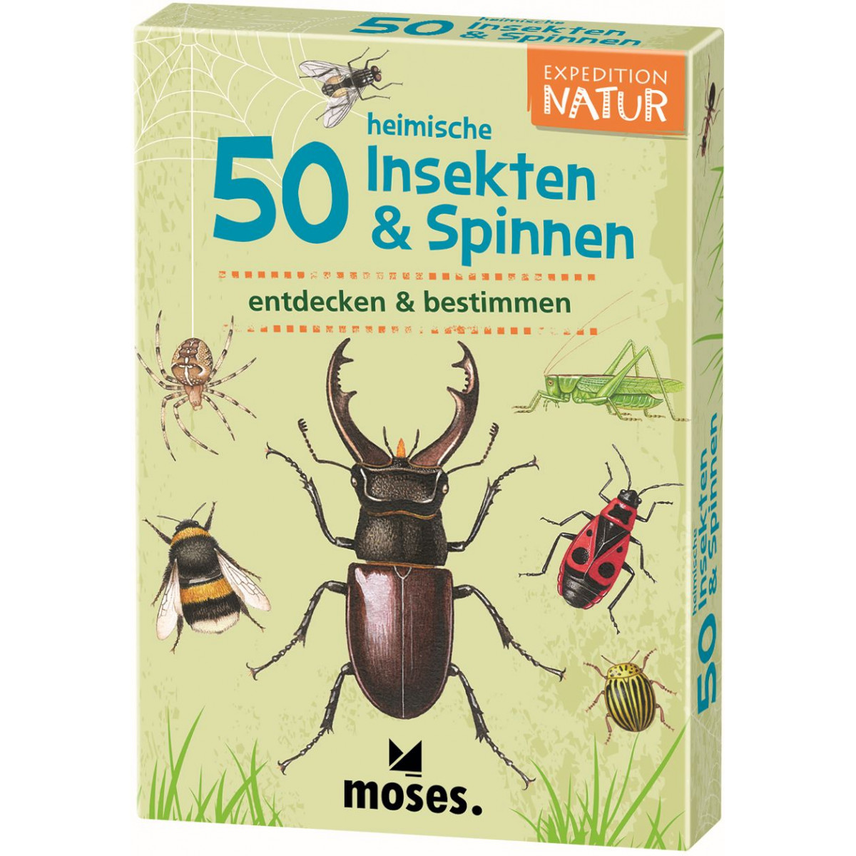 moses. - Expedition Natur 50 heimische Insekten & Spinnen