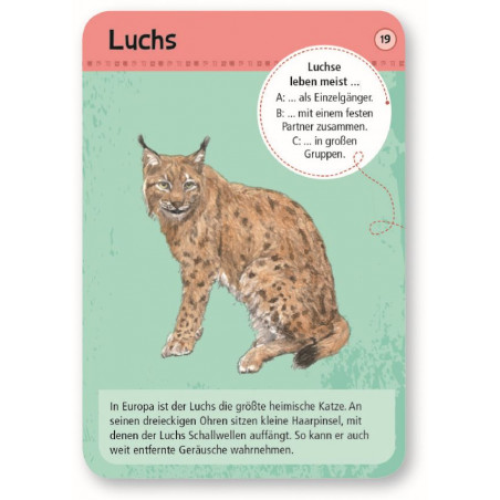 moses. - Expedition Natur 50 heimische Wald- & Wildtiere moses. - Expedition Natur 50 heimische Wald- & Wildtiere
