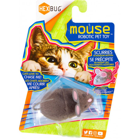 Innovation First - HEXBUG Mouse Cat Toy, grau