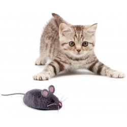 Innovation First - HEXBUG Mouse Cat Toy, grau