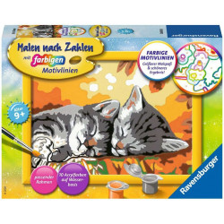 Ravensburger - Malen nach Zahlen - Kätzchen im Herbst