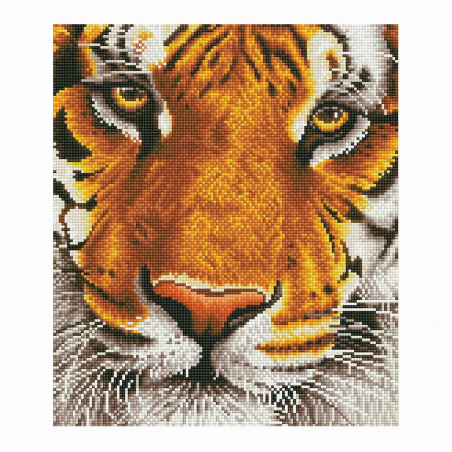 Diamond Dotz - Diamond Painting Tiger